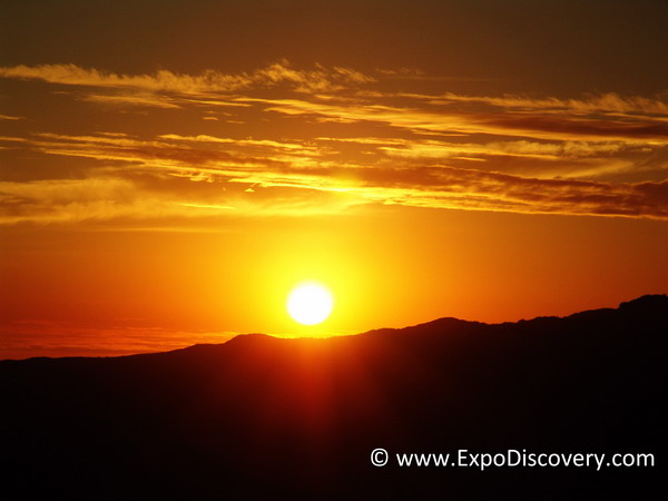 ExpoDiscovery 03