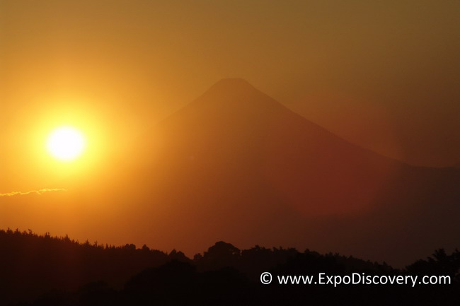 ExpoDiscovery 07